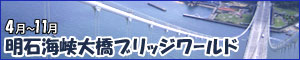 ブリッジワールド