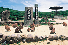 銚子渓お猿の国