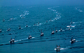 漁師の祭り「三崎豊漁祭」では、漁船を集めてパレードが行われ、壮観な光景が繰り広げられます