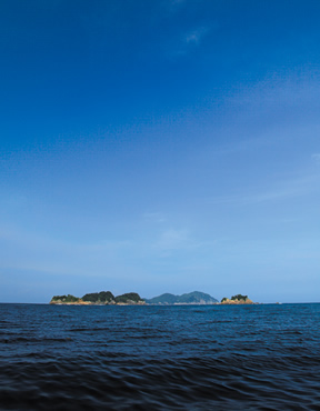 津島、小津島を左右に、その奥、中央に見える大島