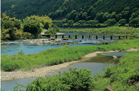 全長196kmの四万十川は四国で最も長い川。沈下橋は、本流に21橋・支流に26橋が架かる