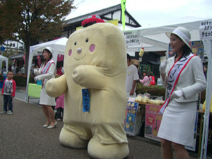 wataru25