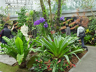 奇跡の星の植物館