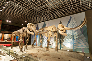 明石市立文化博物館のイメージ写真
