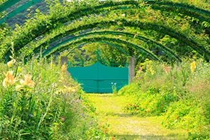 北川村「モネの庭」マルモッタンのイメージ写真
