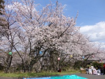 120406 2