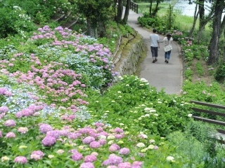 国営讃岐まんのう公園