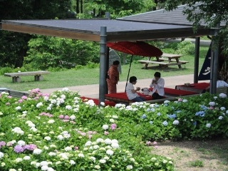 国営讃岐まんのう公園