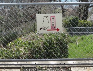 猫の小道