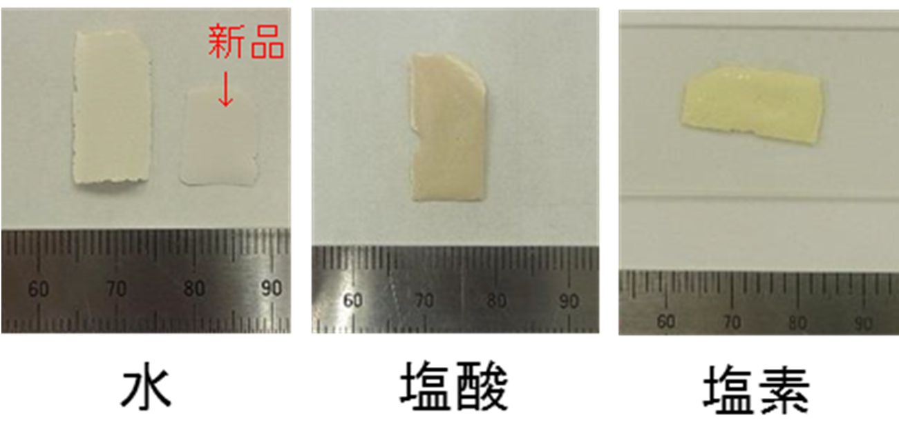 劣化促進塗膜