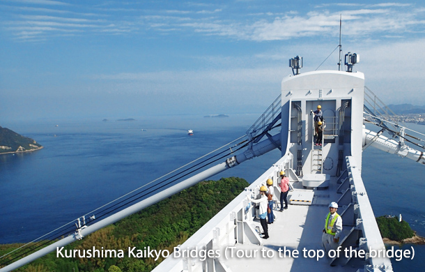 Tour to the top of the bridge