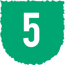 5