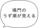 鳴門のうず潮が見える