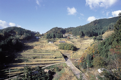 梼原の棚田