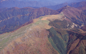 天狗高原