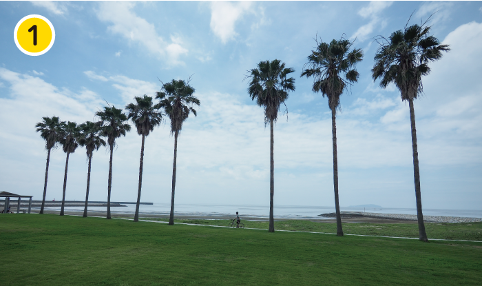 スタートしてまもなく現れるのが、海水浴場や芝生広場などが整備された、リゾート気分満点の一宮公園。