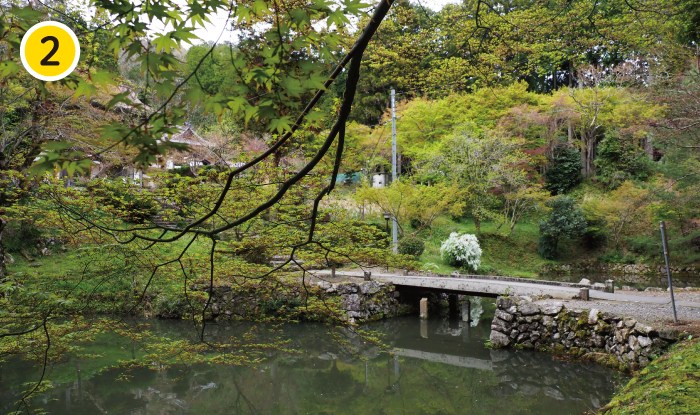 折り返し地点にある洞光寺は、しっとりとした風情。周辺は作業車も行き交う生活道を抜ける。
