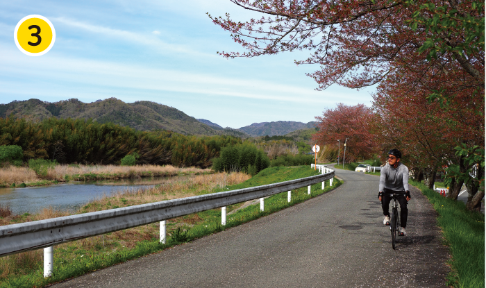 篠山川沿いの道は、比較的交通量も少なく快走できる。春には桜並木が美しい区間も。