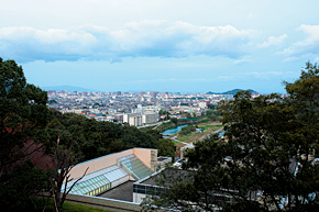 高台からの眺めは絶景