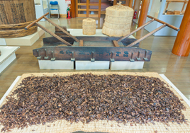 相生ふるさと交流館では相生晩茶の製造用具などを展示