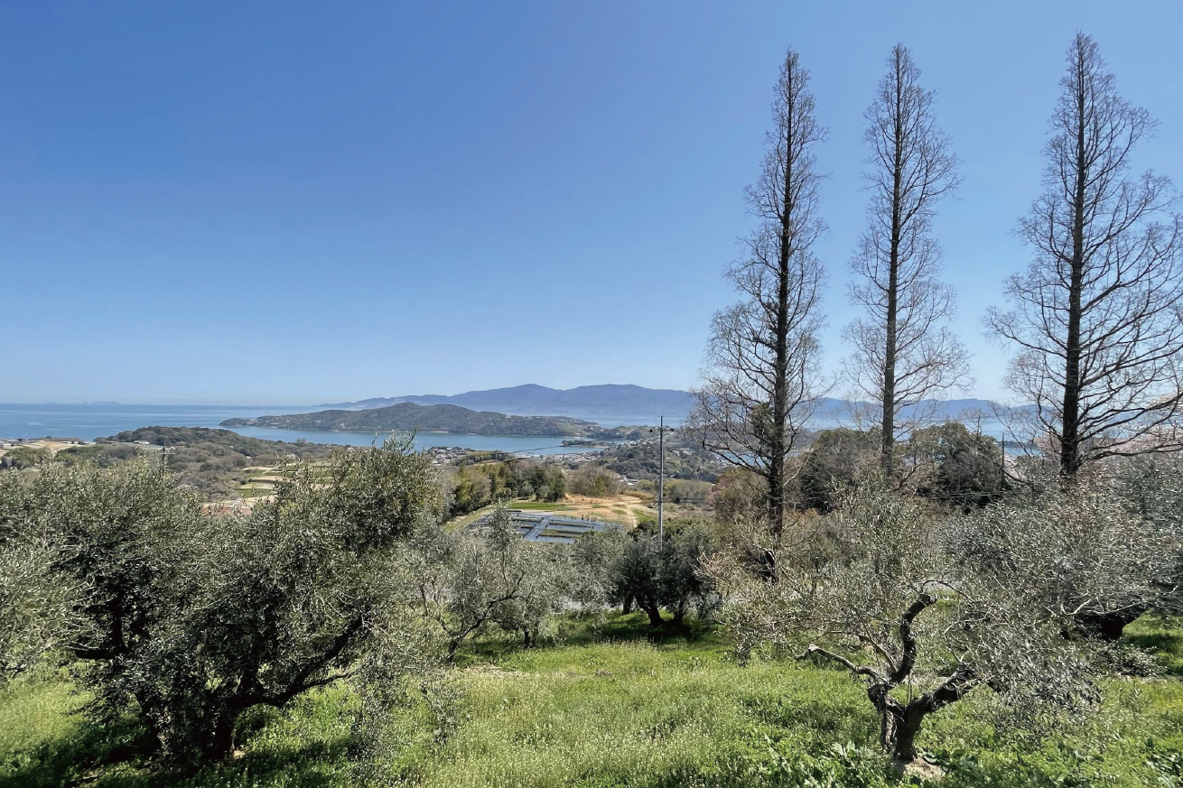 牛窓オリーブ園「赤屋根」からの眺望