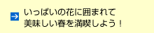 いっぱいの花に囲まれて美味しい春を満喫しよう！