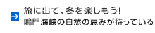 旅に出て、冬を楽しもう！鳴門海峡の自然の恵みが待っている