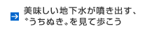 美しい地下水が噴き出す、うちぬきを見て歩こう