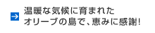 秘境の渓谷が放つパワーと神秘に感動！