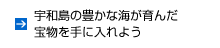 宇和島の豊かな海が育んだ宝物を手に入れよう