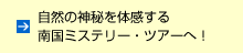 自然の神秘を体感する南国ミステリー・ツアーへ！