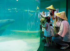 新屋島水族館