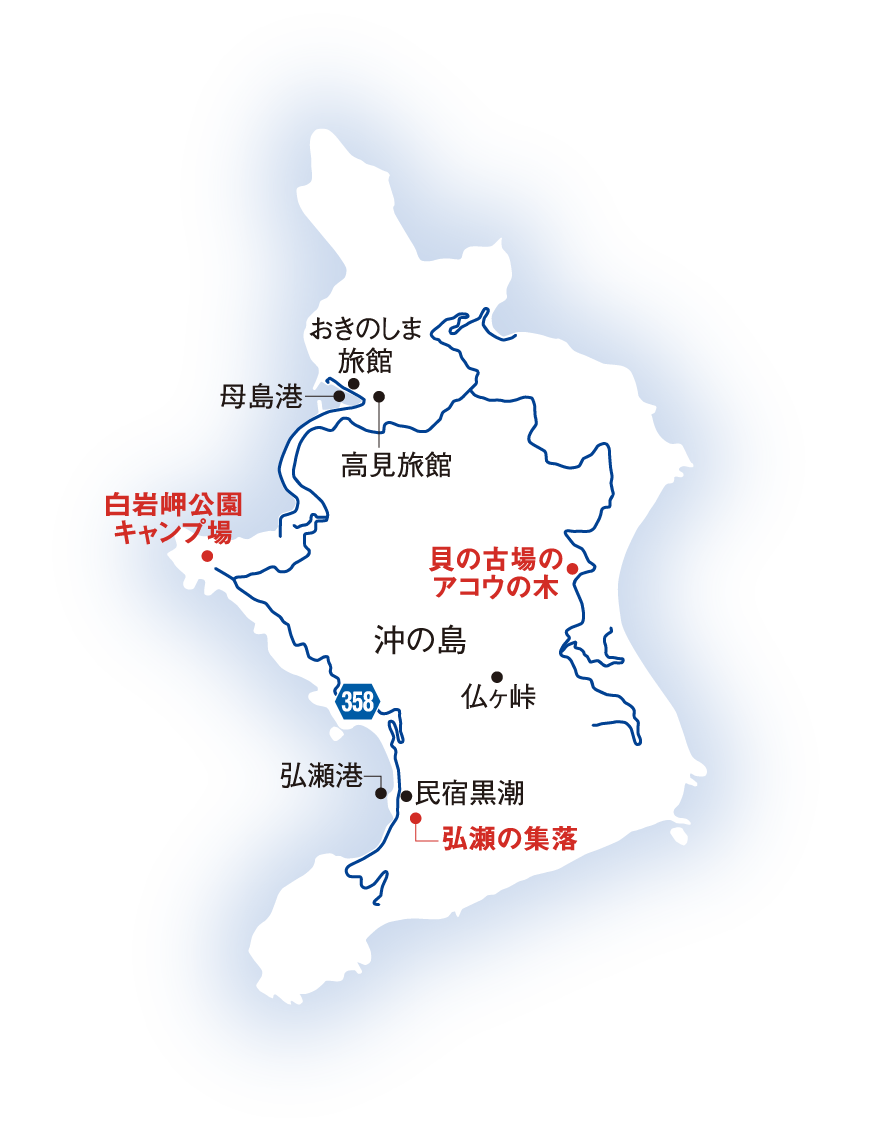 島へのアクセスは…宿毛市片島港から船が1日2便運航している。