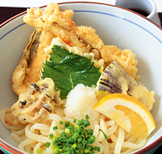 瀬戸内の穴子ぶっかけうどん