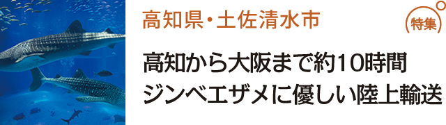 高知から大阪まで約10時間 ジンベエザメに優しい陸上輸送