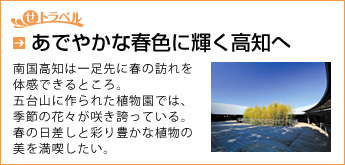 せトラベル　あでやかな春色に輝く高知へ