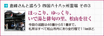 恵峰さんと巡ろう 四国八十八ヶ所霊場