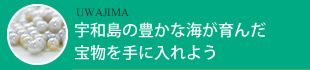 宇和島の豊かな海が育んだ宝物を手に入れよう
