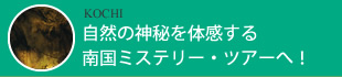 自然の神秘を体感する南国ミステリー・ツアーへ！