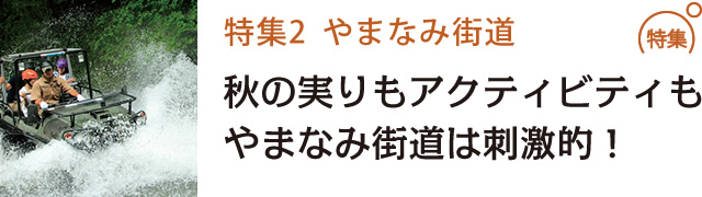 秋の実りもアクティビティもやまなみ街道は刺激的！