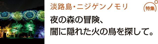 夜の森の冒険、闇に隠れた火の鳥を探して。