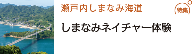 しまなみネイチャー体験