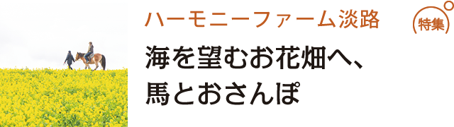 海を望むお花畑へ、馬とおさんぽ