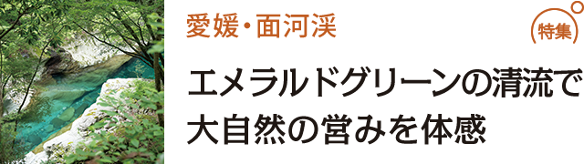 お殿様や俳人が行き来した港 三津浜