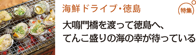 お殿様や俳人が行き来した港 三津浜