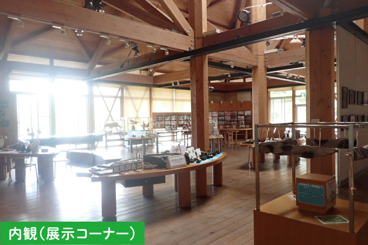 内観（展示コーナー）