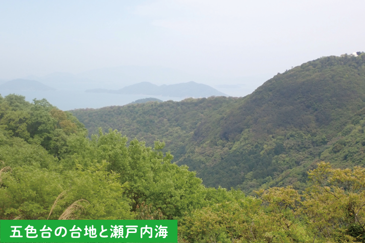 五色台の台地と瀬戸内海