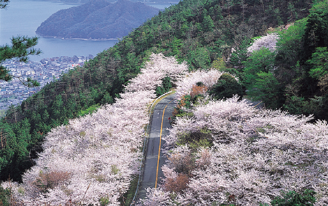 さざなみスカイライン