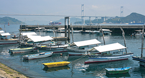 大浜漁協の港