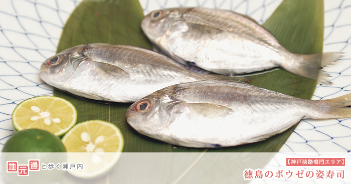 地元通と歩く瀬戸内　【神戸淡路鳴門エリア】徳島のボウゼの姿寿司